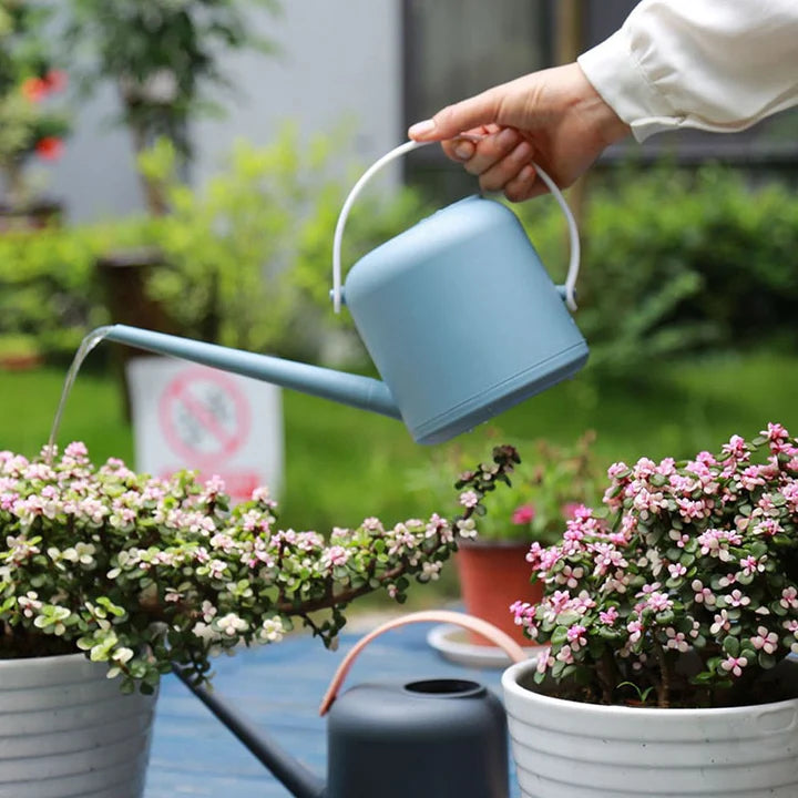 Long Neck Watering Can – Plant Care