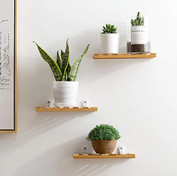 Minimalist Shelf Wooden Shelf