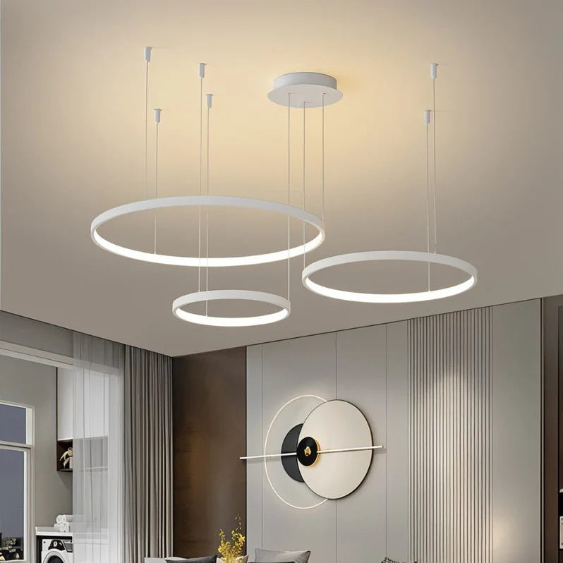 Sophisticated Circular Ceiling Light
