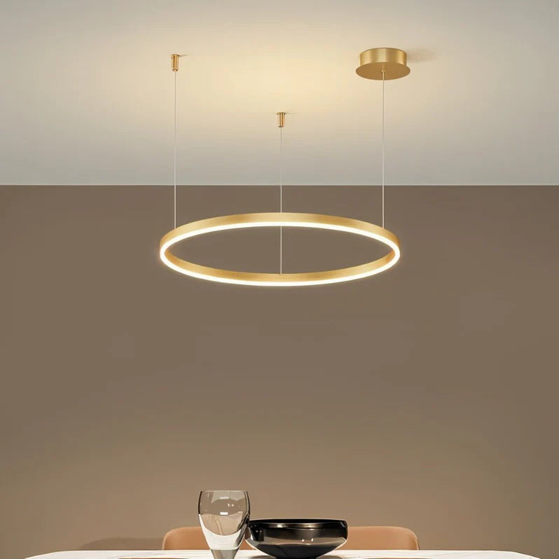 Sophisticated Circular Ceiling Light