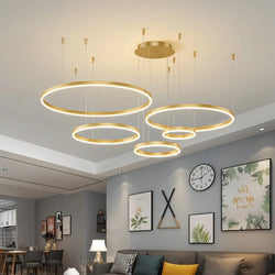 Sophisticated Circular Ceiling Light