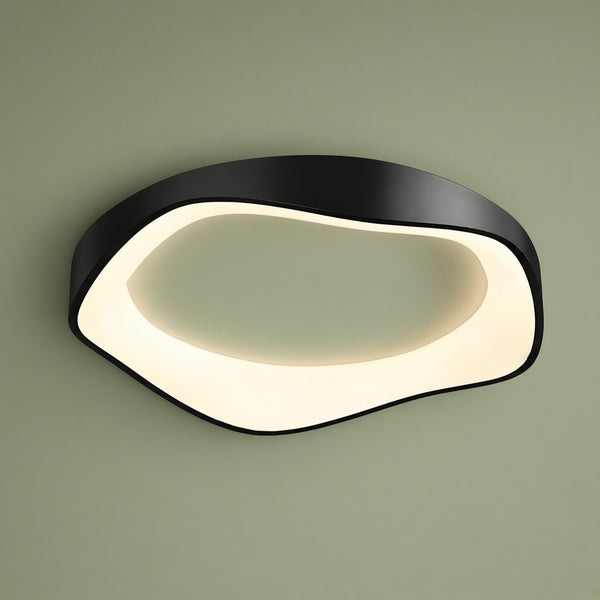 Modern Curved LED Ceiling and Wall Light