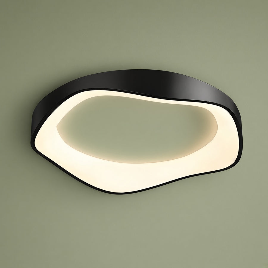 Modern Curved LED Ceiling and Wall Light