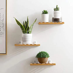 Minimalist Shelf Wooden Shelf