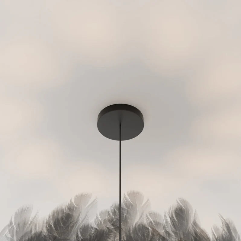 Feather Glow Pendant Light