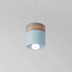 Luminous Harmony Pendant Light