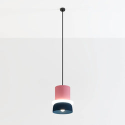 Fresh Colorful Pendant Light