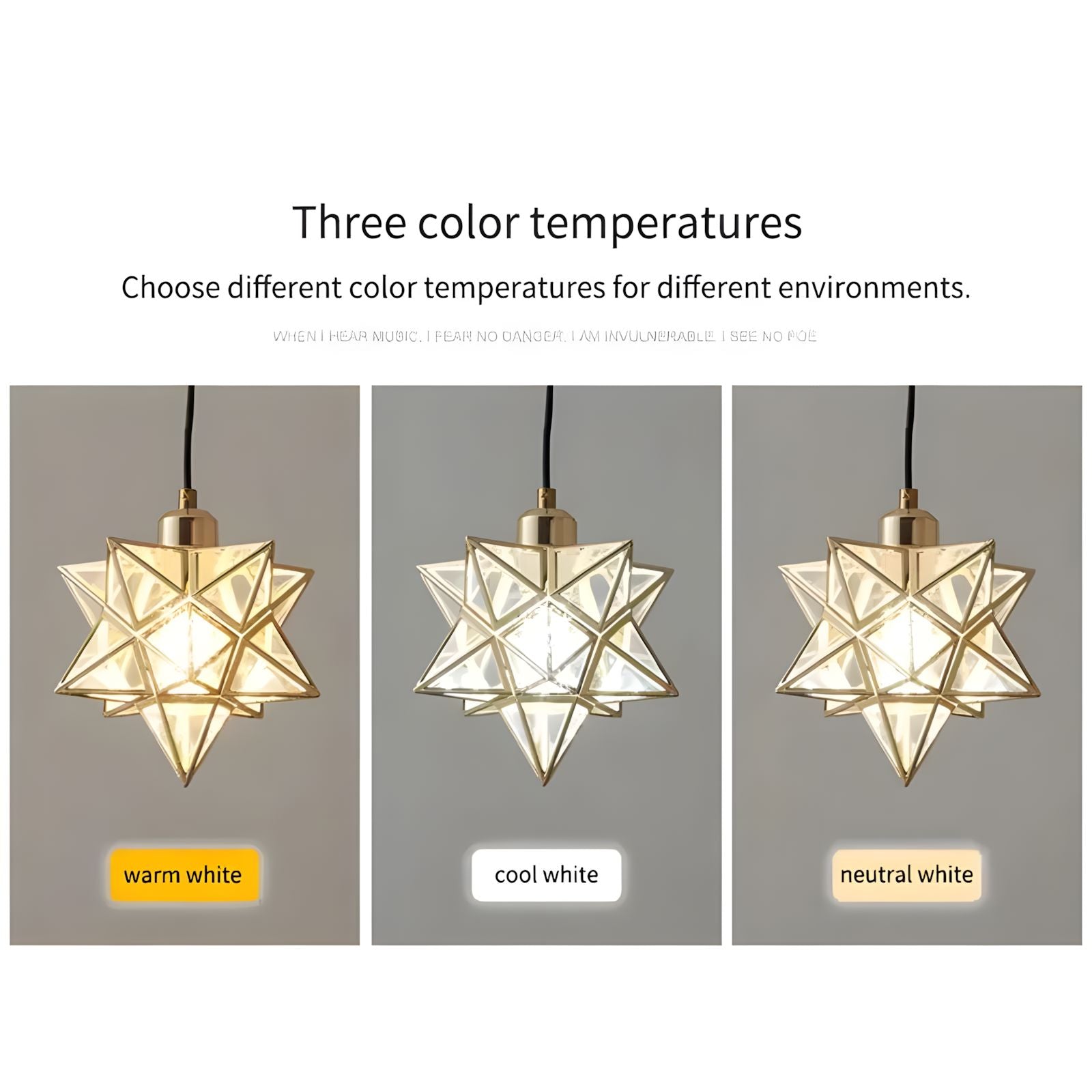Modern Moravian Star Pendant Light - Black-Frosted