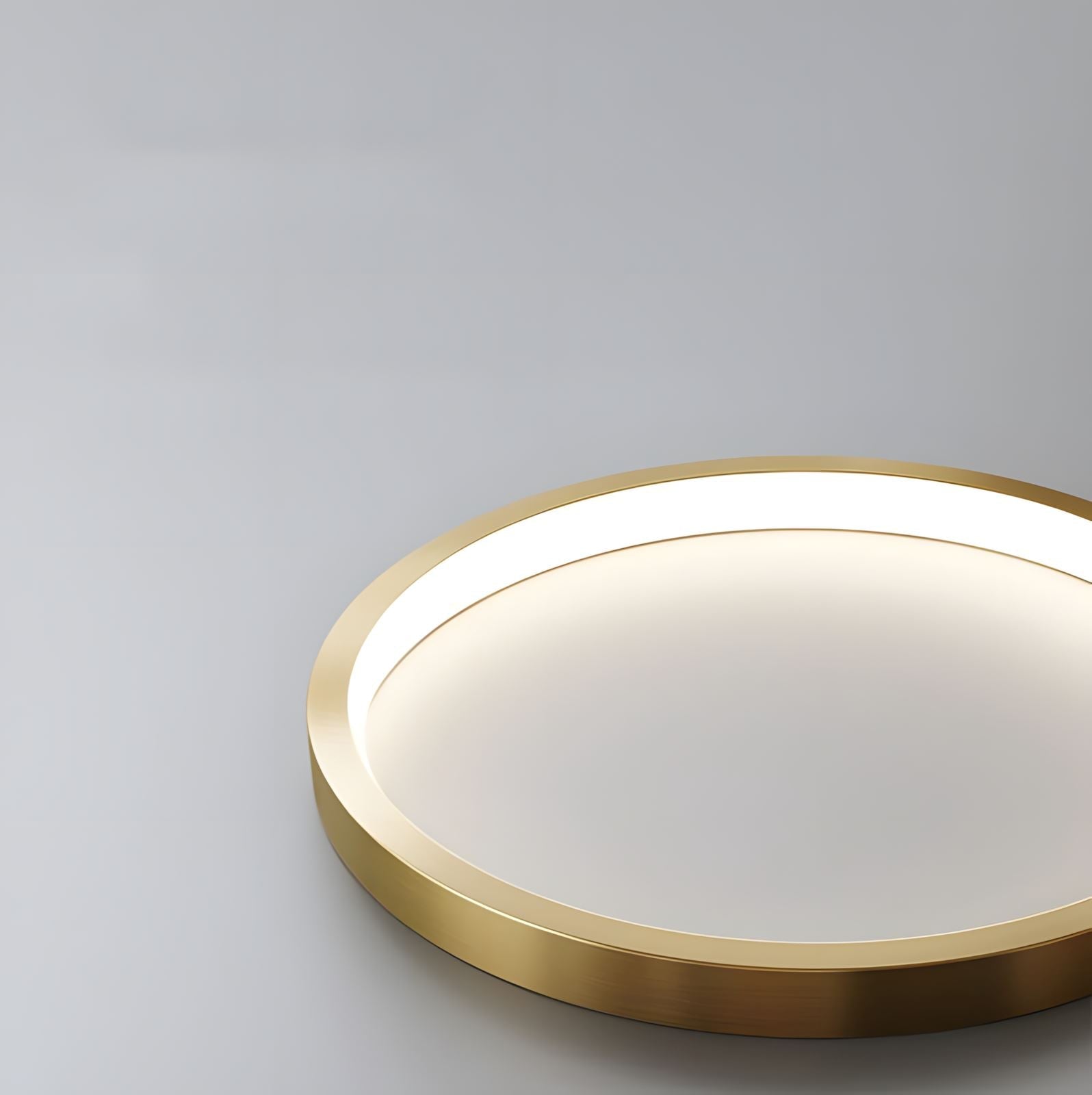 Modern Ring Pendant Light - view 2