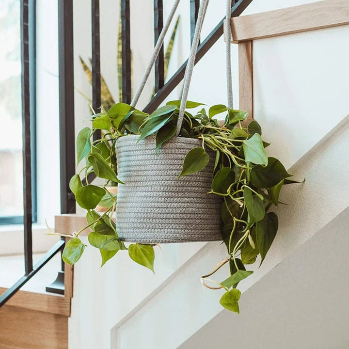 Chic Cotton Hanging Plant Pot